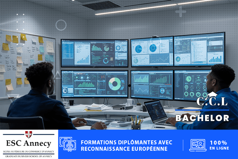 Bachelor en Management de la Santé, Innovation et Performance des Systèmes